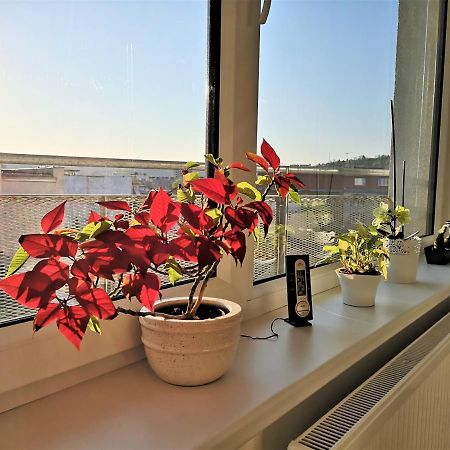New Apartment With Garage Parking Brno Bagian luar foto