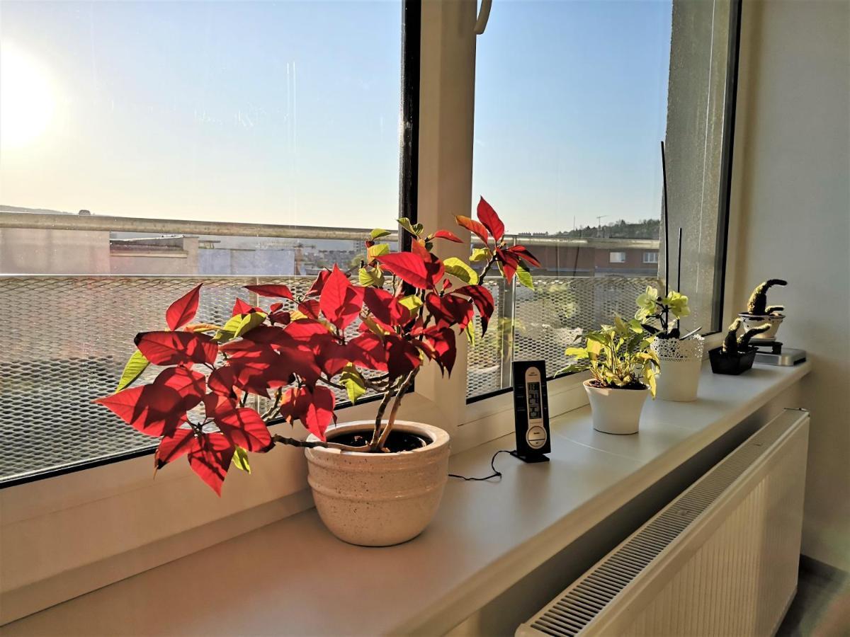 New Apartment With Garage Parking Brno Bagian luar foto