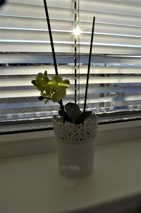 New Apartment With Garage Parking Brno Bagian luar foto
