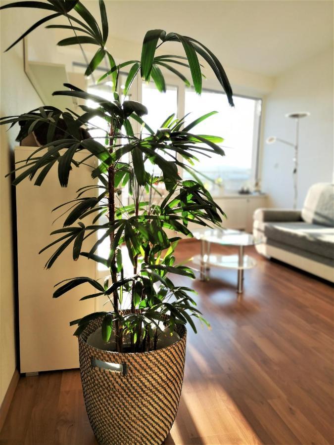 New Apartment With Garage Parking Brno Bagian luar foto